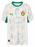2026 Mens Senegal World Cup Home Jersey